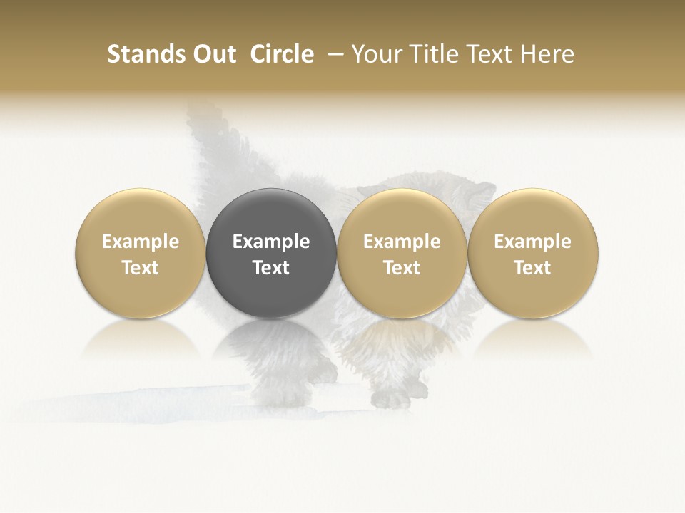 Pu Y Water Tain Tone PowerPoint Template