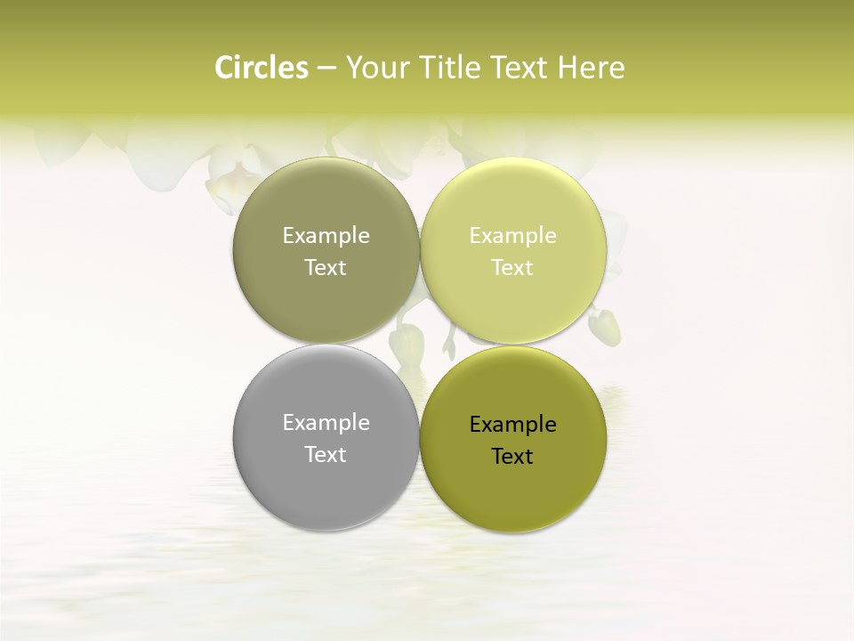 Exotic Fragile Clean PowerPoint Template