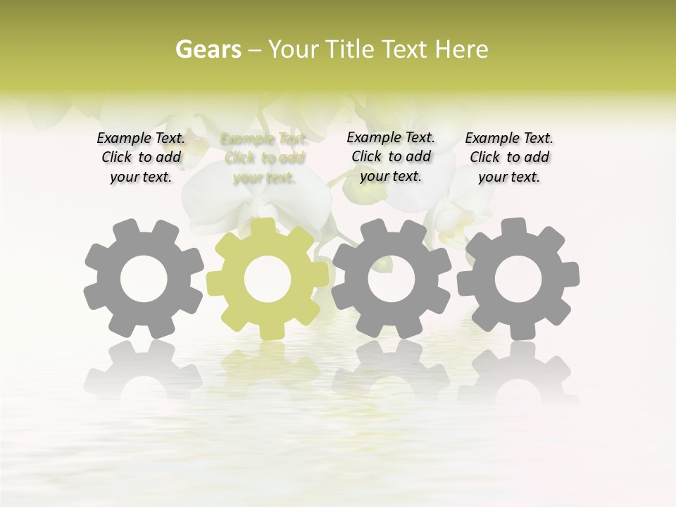 Exotic Fragile Clean PowerPoint Template