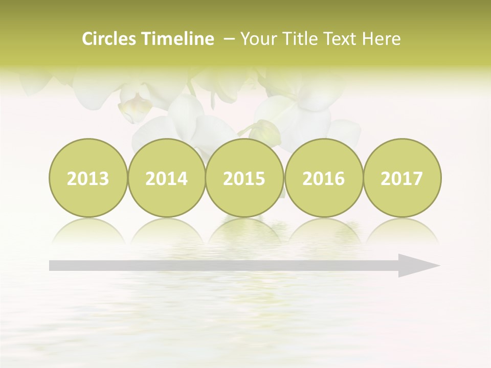 Exotic Fragile Clean PowerPoint Template