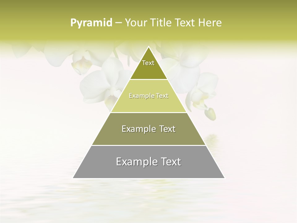 Exotic Fragile Clean PowerPoint Template