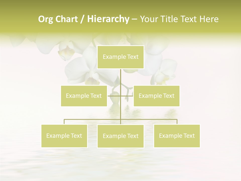 Exotic Fragile Clean PowerPoint Template