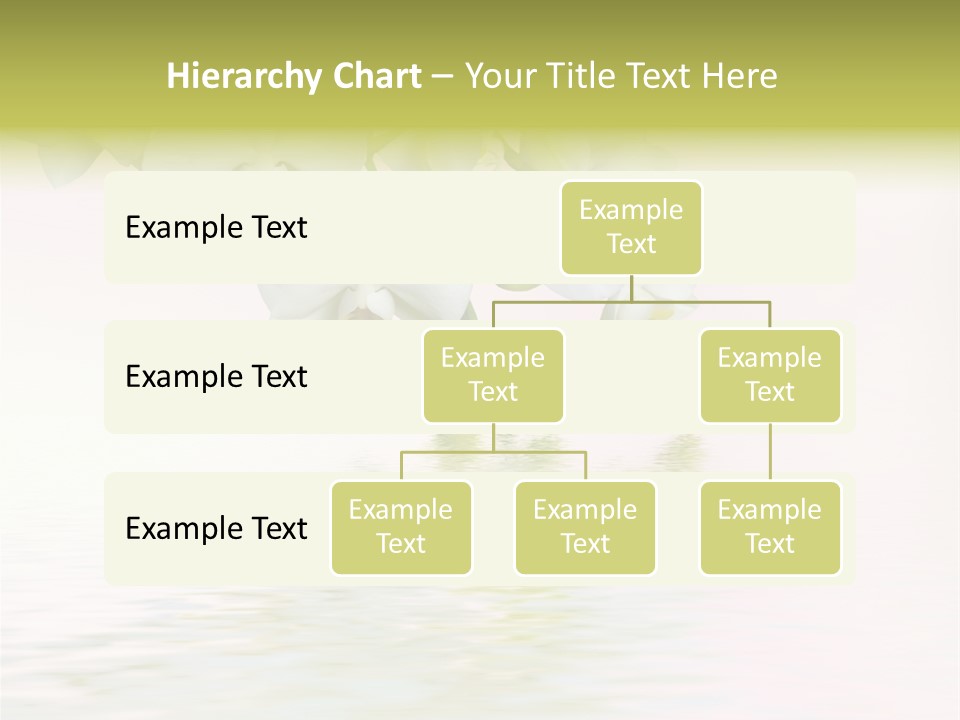 Exotic Fragile Clean PowerPoint Template