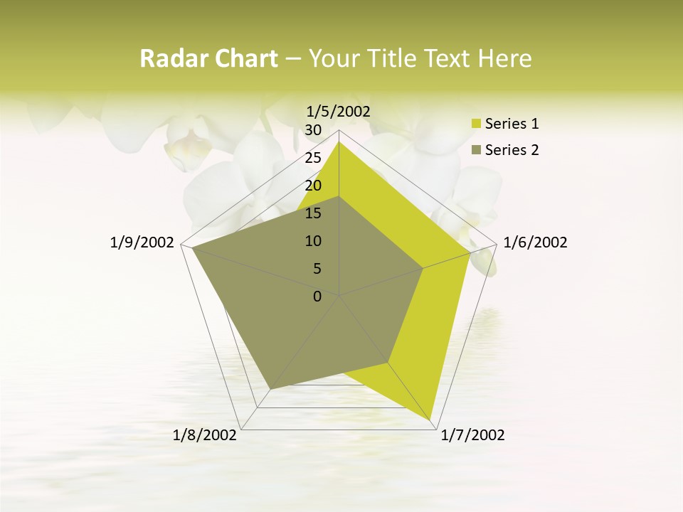 Exotic Fragile Clean PowerPoint Template