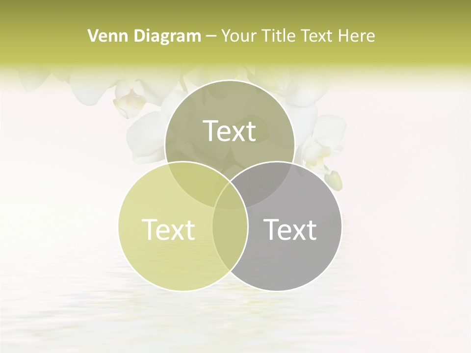 Exotic Fragile Clean PowerPoint Template