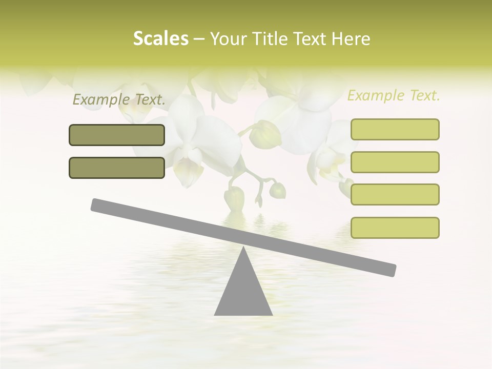 Exotic Fragile Clean PowerPoint Template