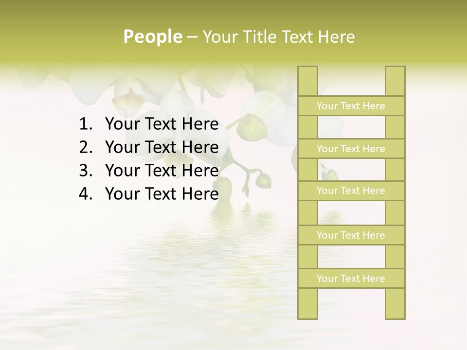 Exotic Fragile Clean PowerPoint Template