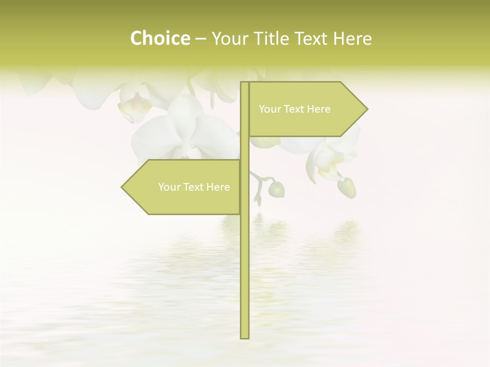 Exotic Fragile Clean PowerPoint Template