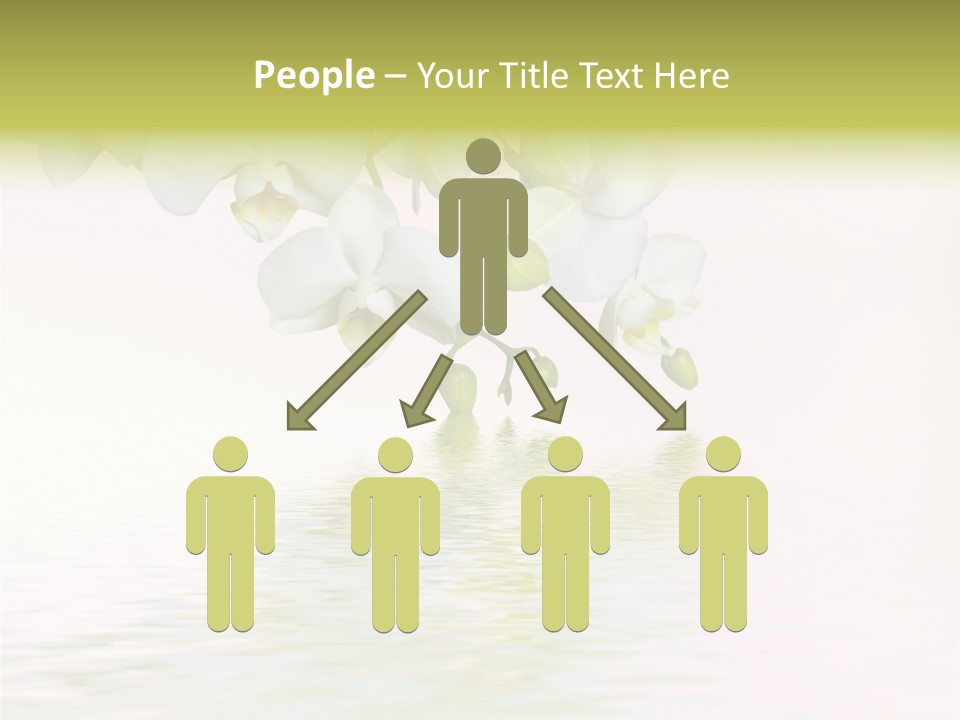 Exotic Fragile Clean PowerPoint Template