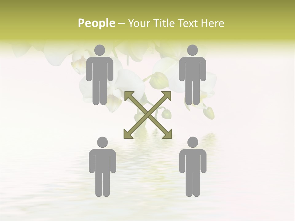 Exotic Fragile Clean PowerPoint Template