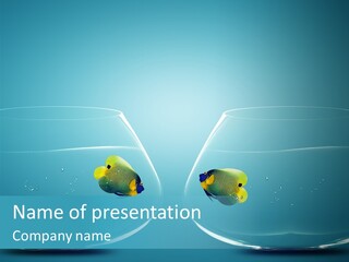 Fishbowl Image Limited PowerPoint Template