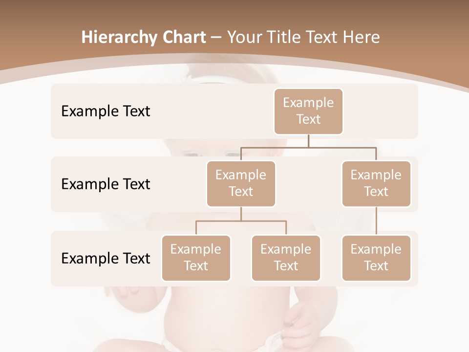 Management Meeting Conference PowerPoint Template
