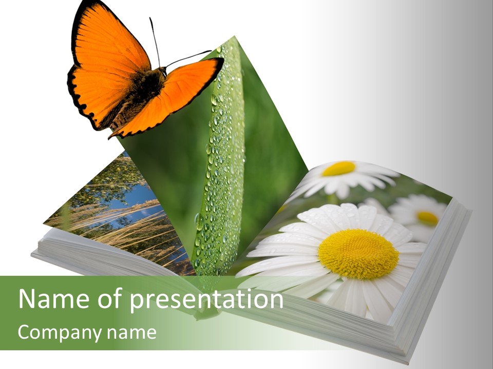 Education Symbol Studying PowerPoint Template