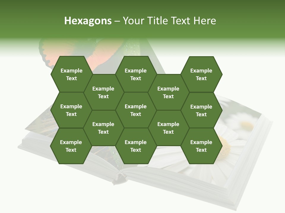 Education Symbol Studying PowerPoint Template