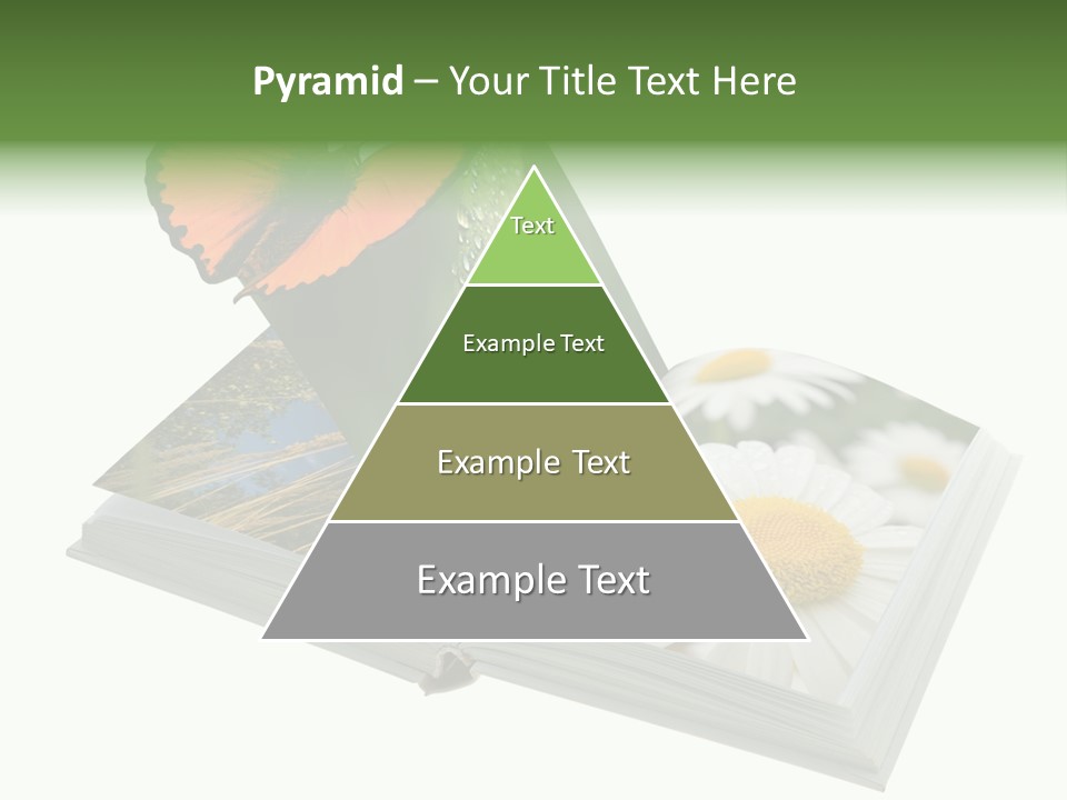Education Symbol Studying PowerPoint Template