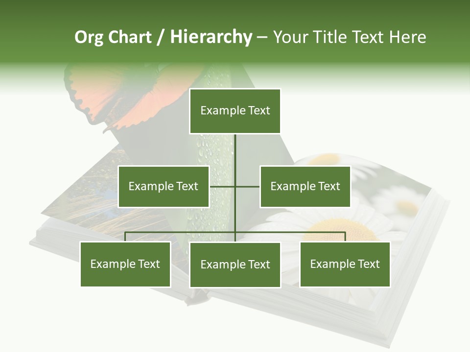 Education Symbol Studying PowerPoint Template