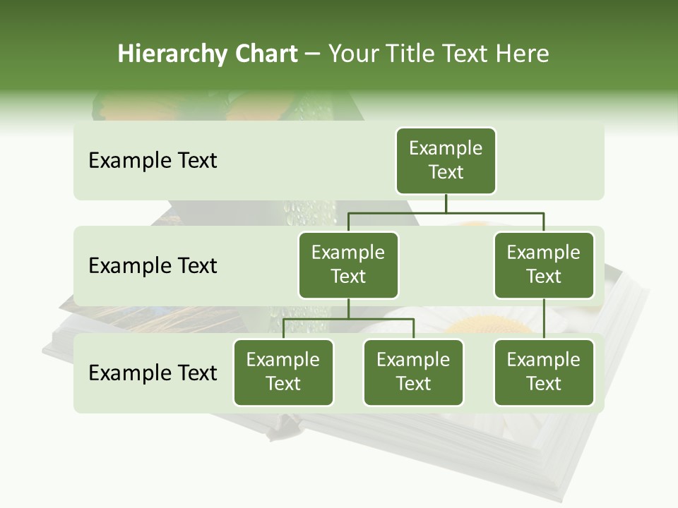 Education Symbol Studying PowerPoint Template