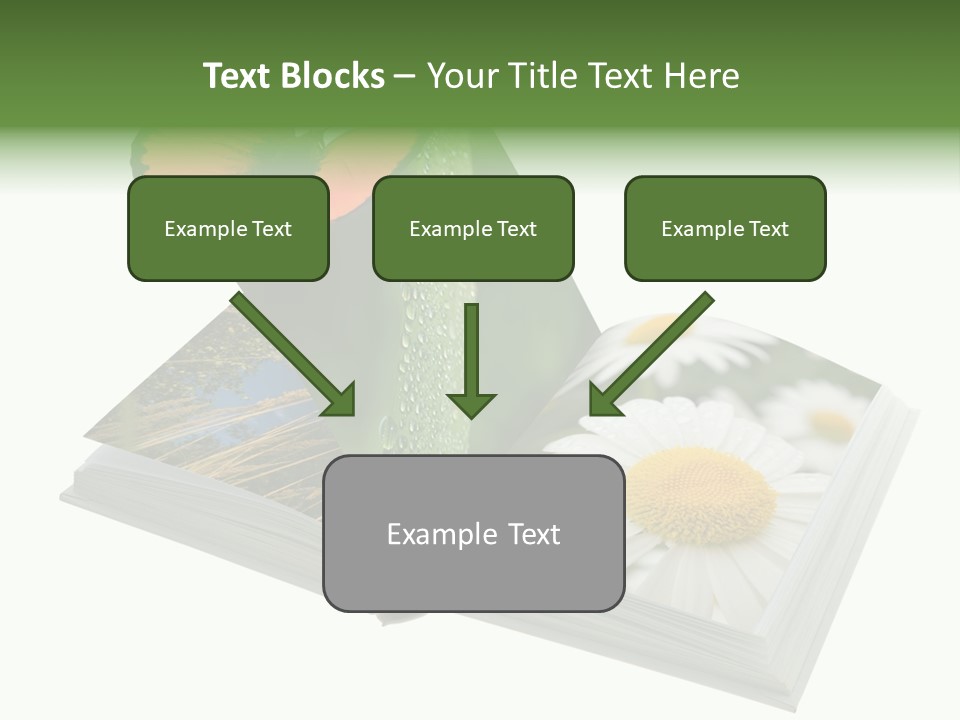 Education Symbol Studying PowerPoint Template
