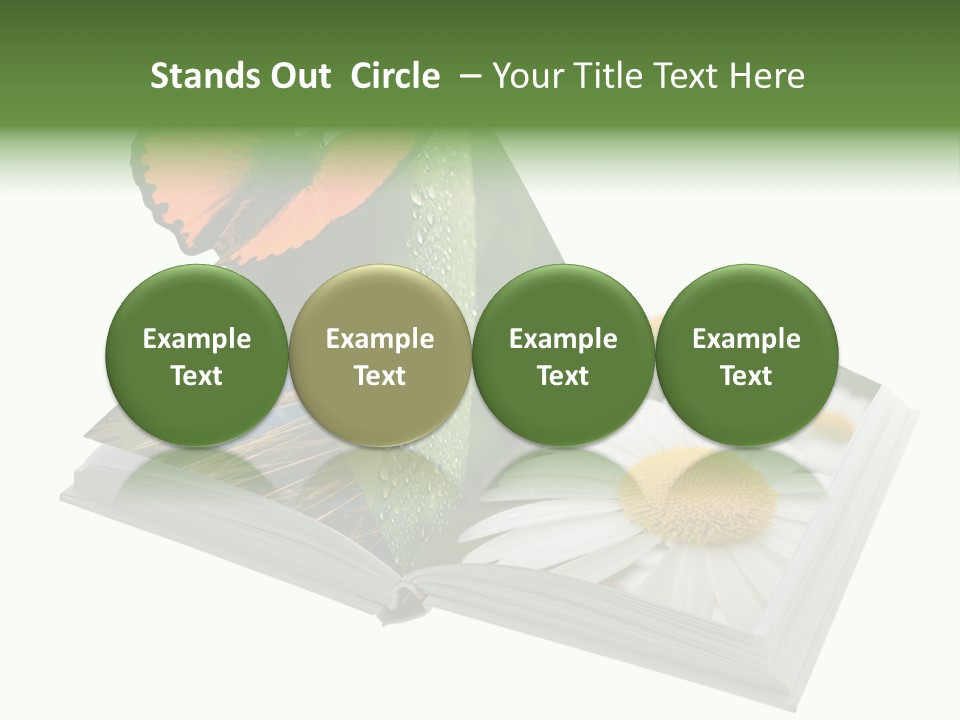 Education Symbol Studying PowerPoint Template