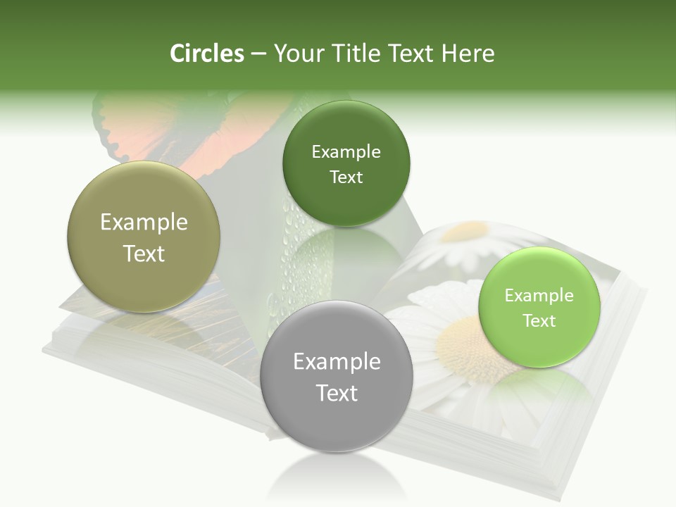 Education Symbol Studying PowerPoint Template