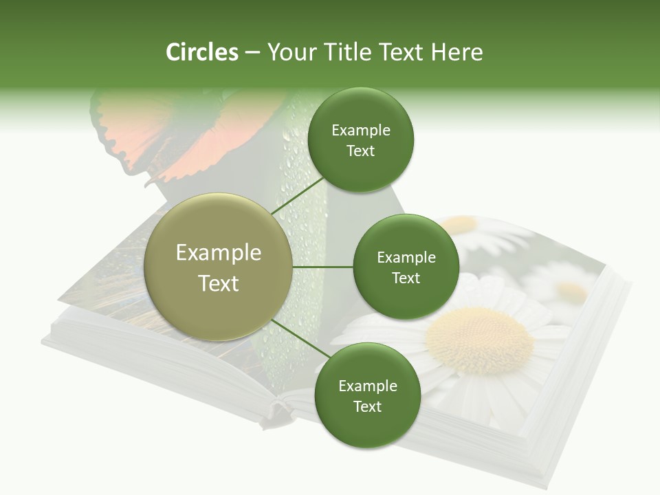 Education Symbol Studying PowerPoint Template