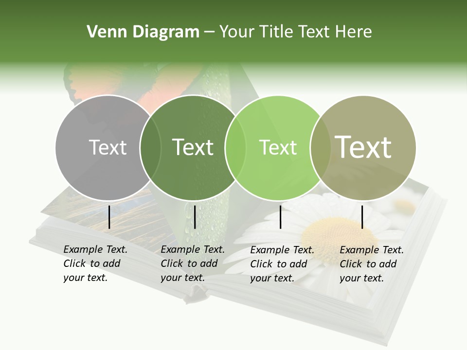Education Symbol Studying PowerPoint Template