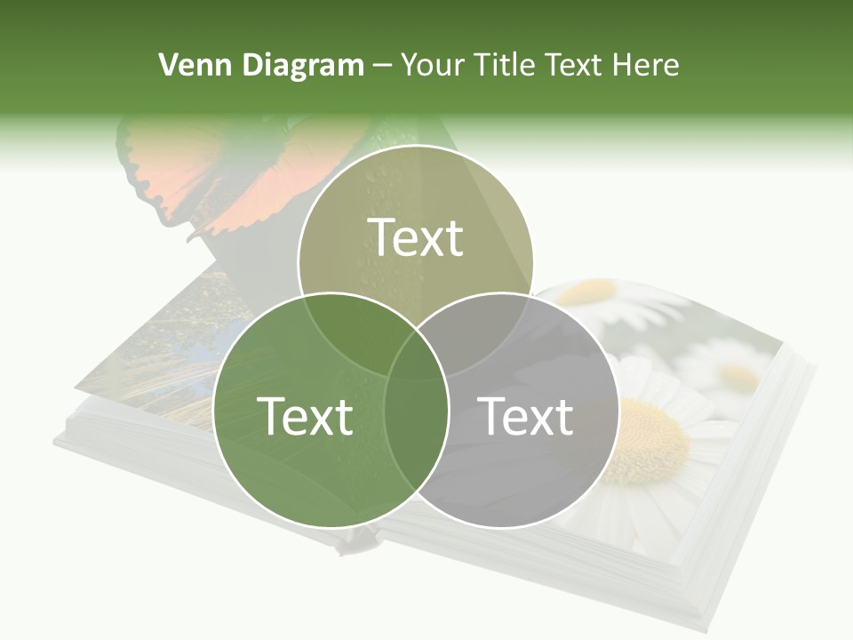Education Symbol Studying PowerPoint Template