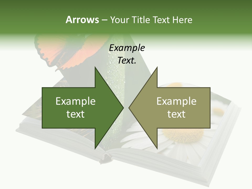 Education Symbol Studying PowerPoint Template