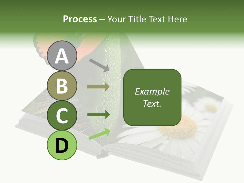Education Symbol Studying PowerPoint Template