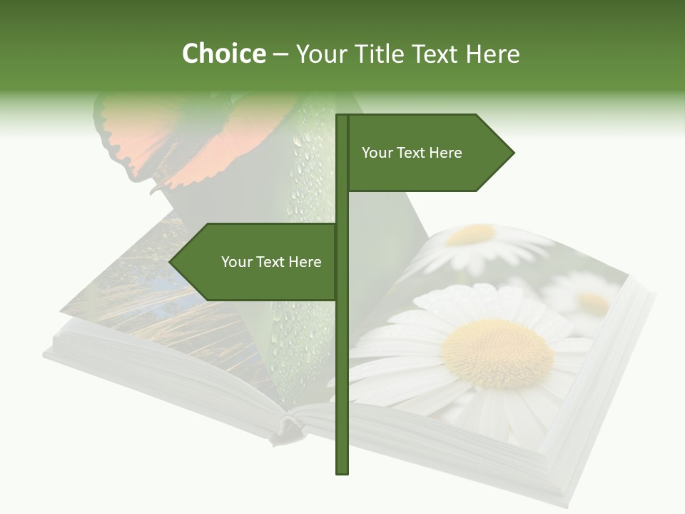 Education Symbol Studying PowerPoint Template