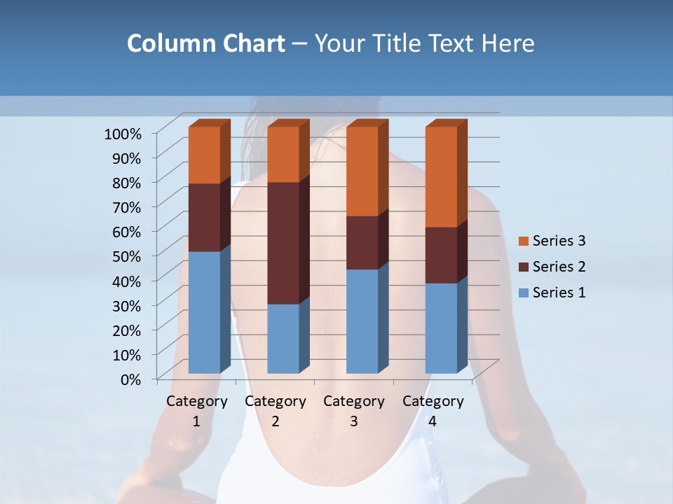Meeting Company Bu Ine PowerPoint Template