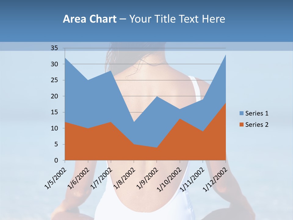 Meeting Company Bu Ine PowerPoint Template