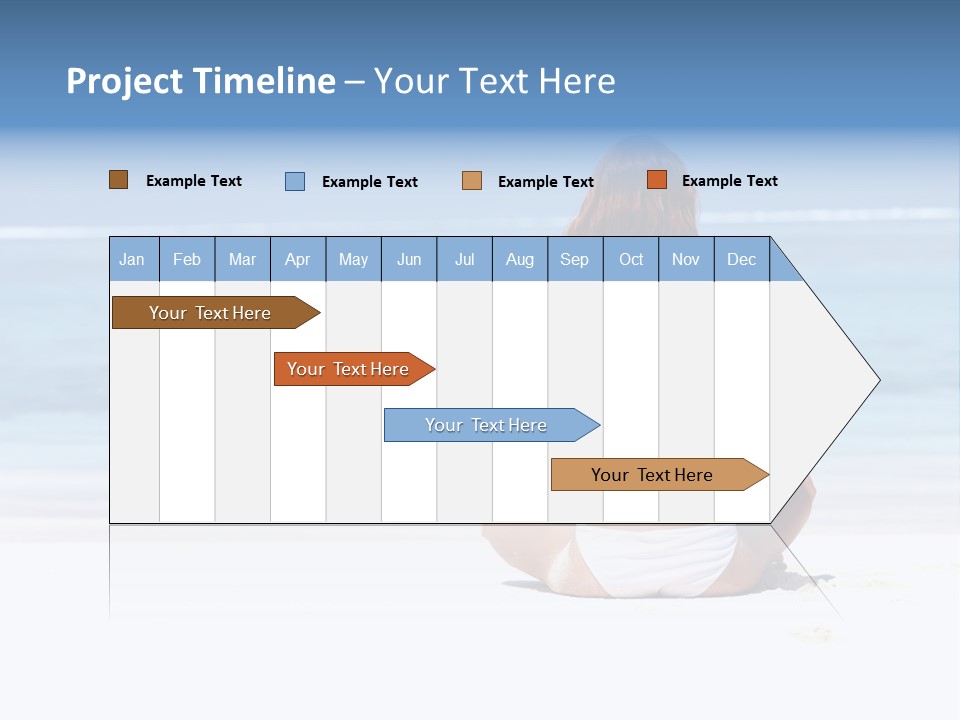 Character Management Profe Ional PowerPoint Template