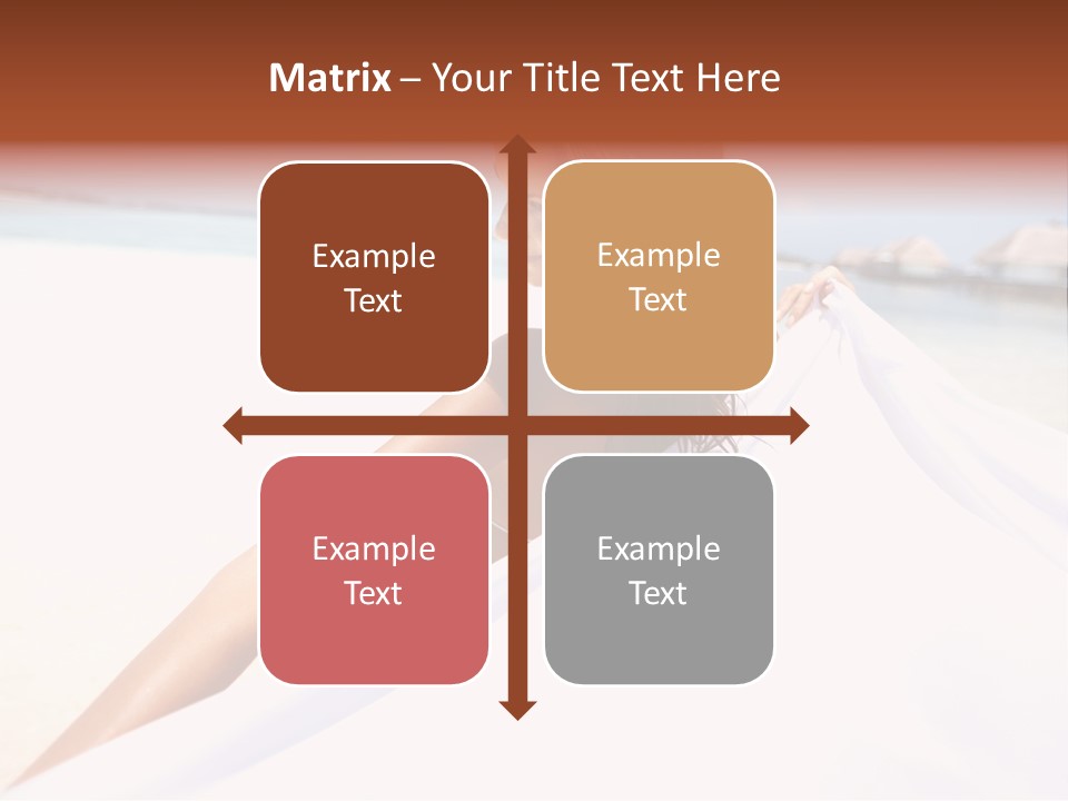 Di Cu Ion Conference Li Ten PowerPoint Template