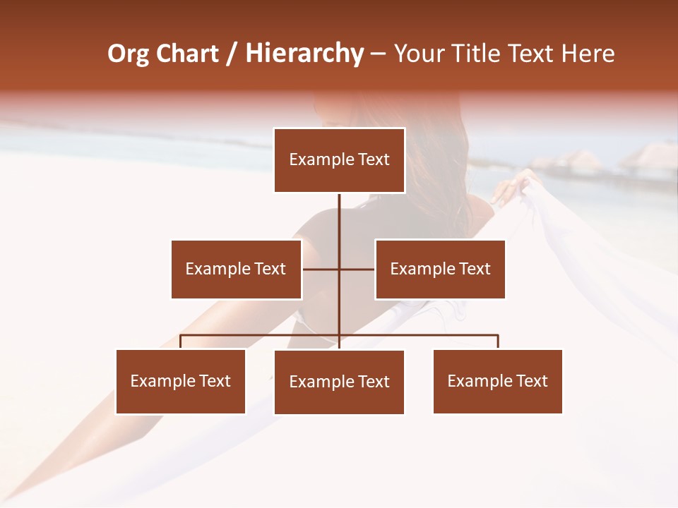 Di Cu Ion Conference Li Ten PowerPoint Template