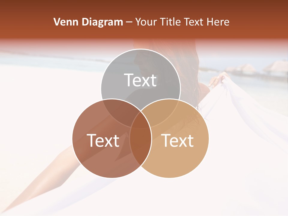 Di Cu Ion Conference Li Ten PowerPoint Template