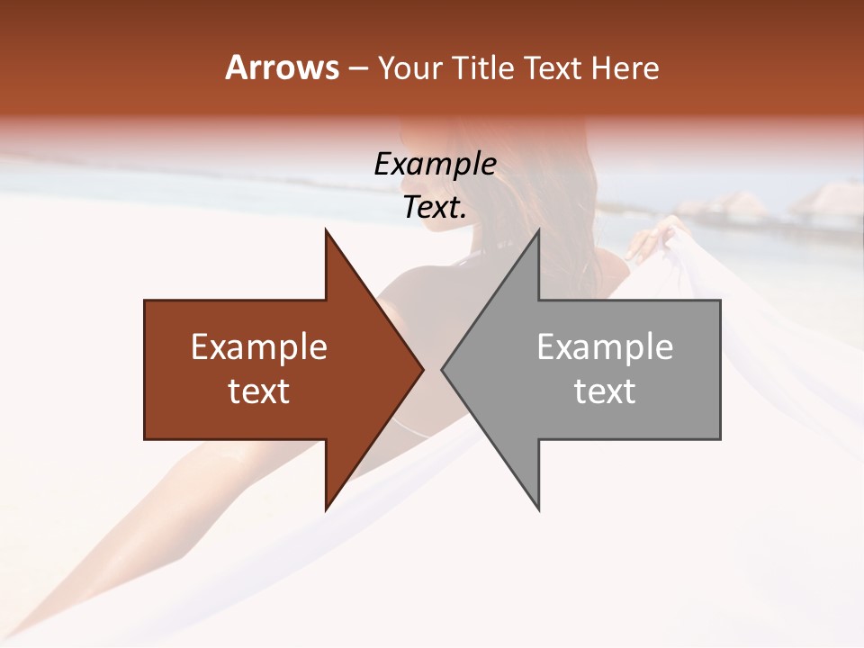 Di Cu Ion Conference Li Ten PowerPoint Template