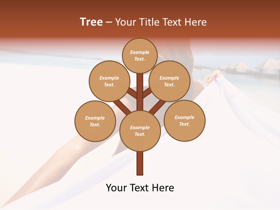 Di Cu Ion Conference Li Ten PowerPoint Template