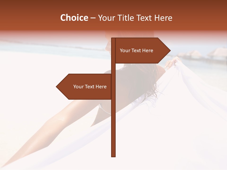 Di Cu Ion Conference Li Ten PowerPoint Template