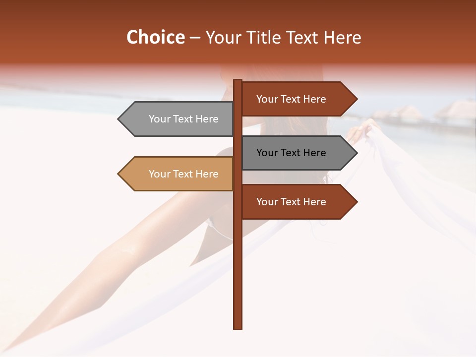 Di Cu Ion Conference Li Ten PowerPoint Template