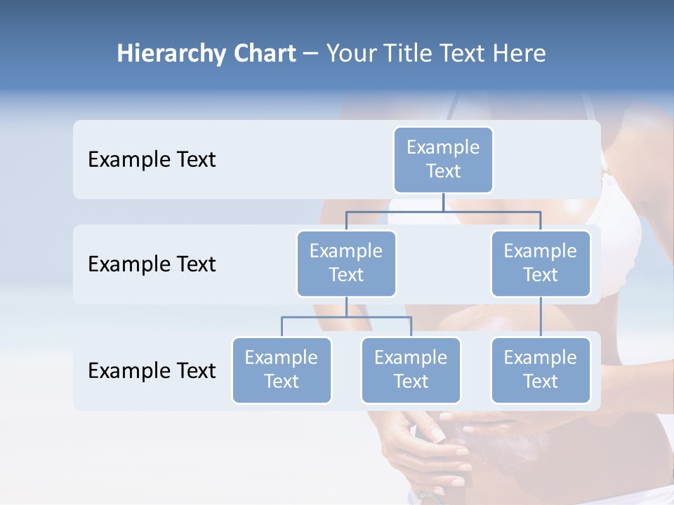Toon Room Office PowerPoint Template