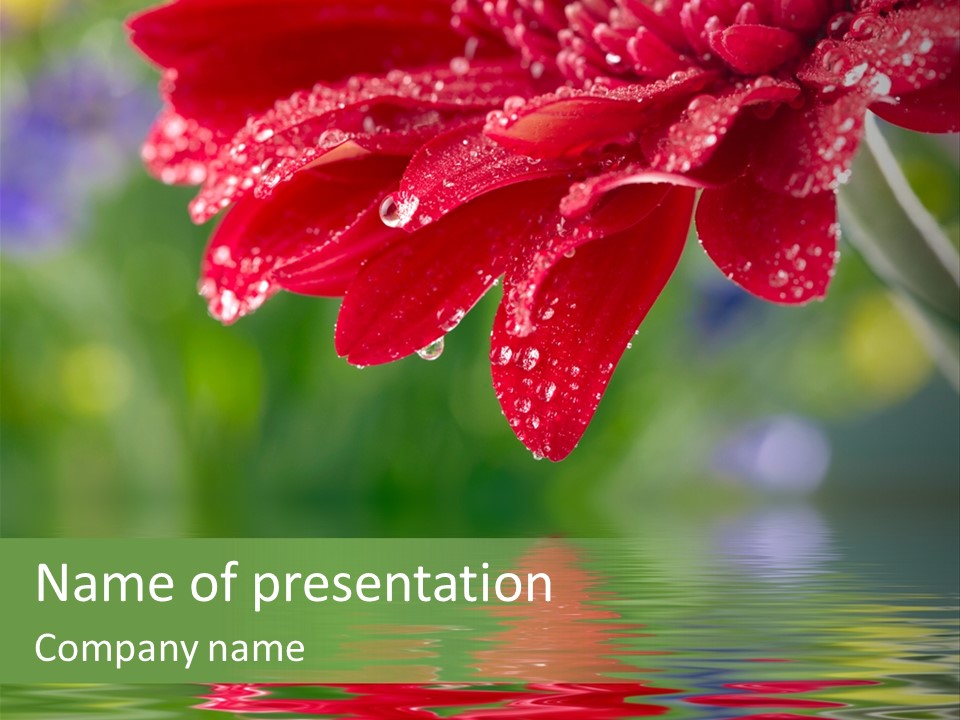Fresh Red Bouquet PowerPoint Template