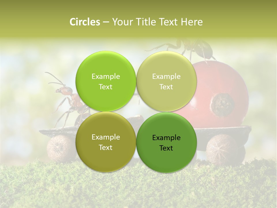 Juicy Vehicle Semitruck PowerPoint Template