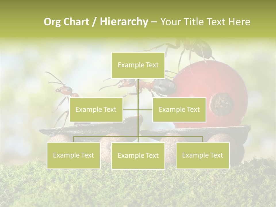 Juicy Vehicle Semitruck PowerPoint Template
