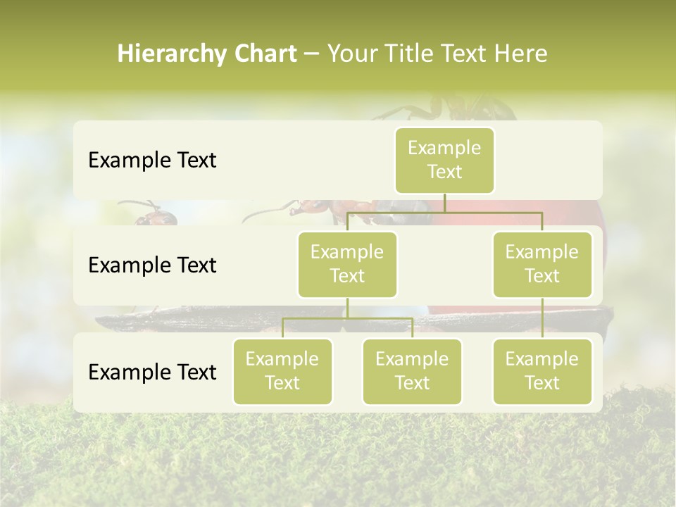 Juicy Vehicle Semitruck PowerPoint Template