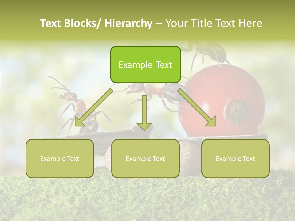 Juicy Vehicle Semitruck PowerPoint Template