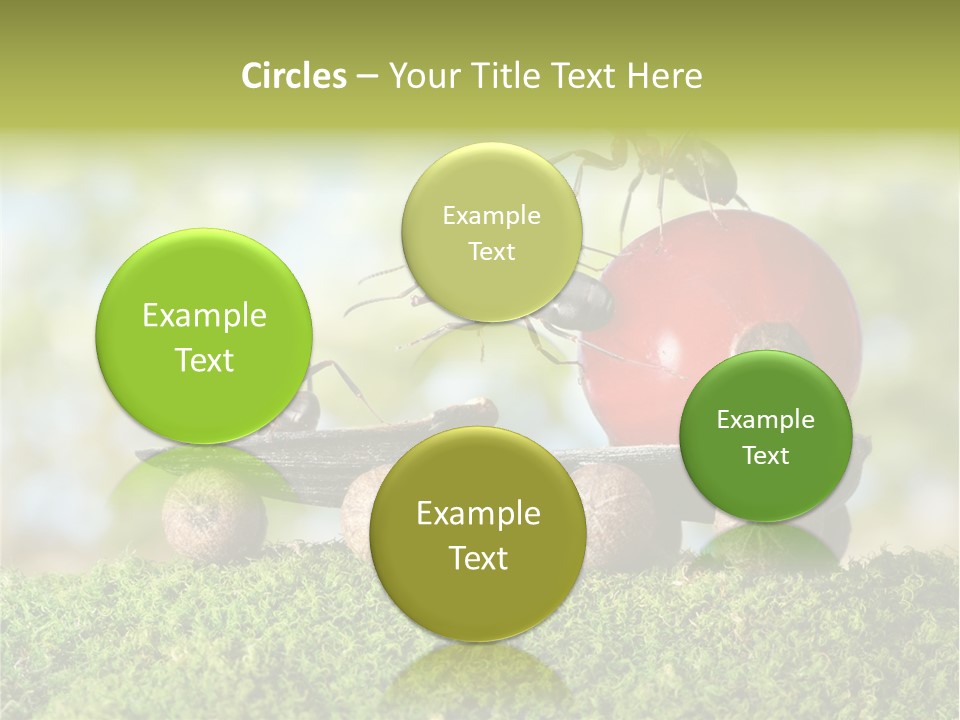 Juicy Vehicle Semitruck PowerPoint Template