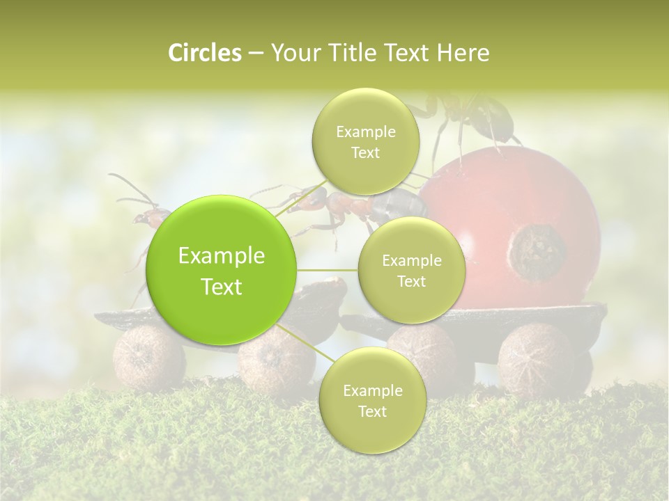 Juicy Vehicle Semitruck PowerPoint Template