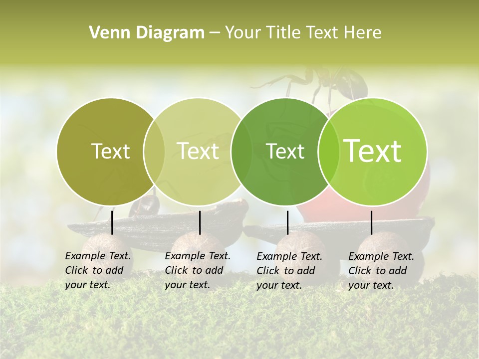 Juicy Vehicle Semitruck PowerPoint Template