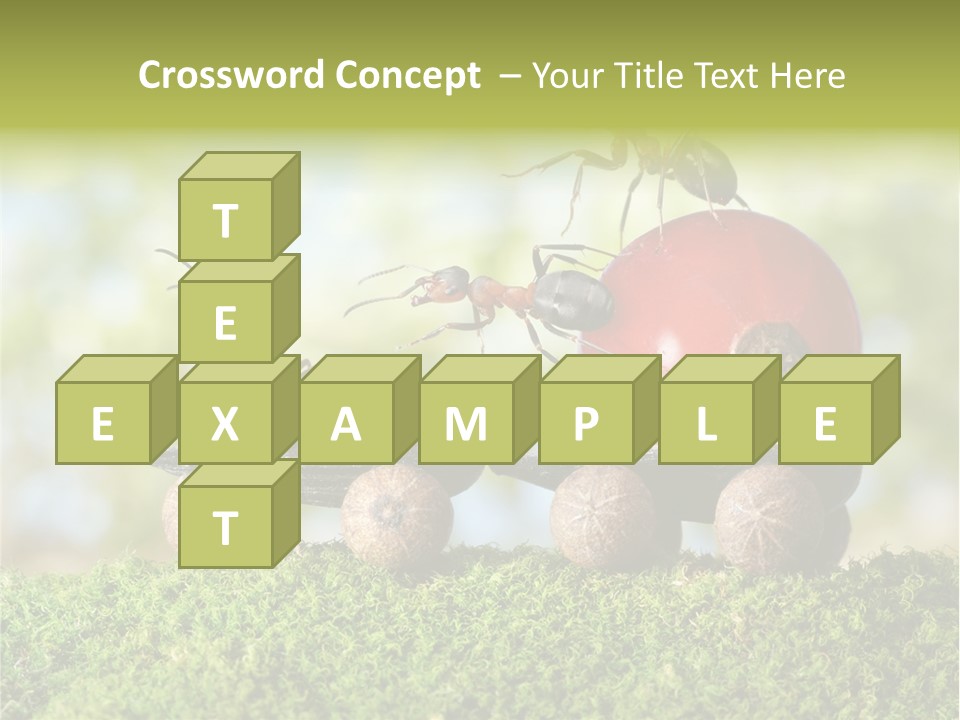 Juicy Vehicle Semitruck PowerPoint Template